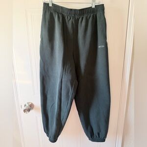 Aritzia cozy sweat fleece mega jogger in mineral green